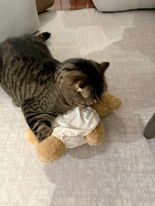 Bear Hug (Brown)