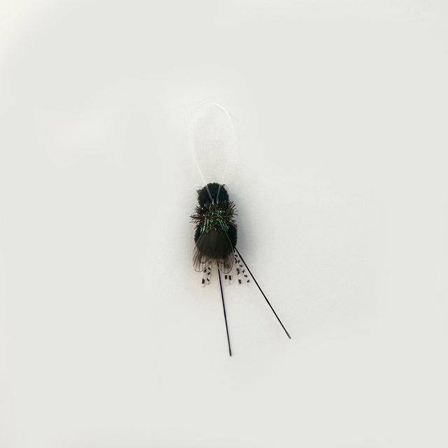 Fly as a Fly