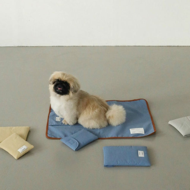 The Tiny Pocket Mat (Blue)