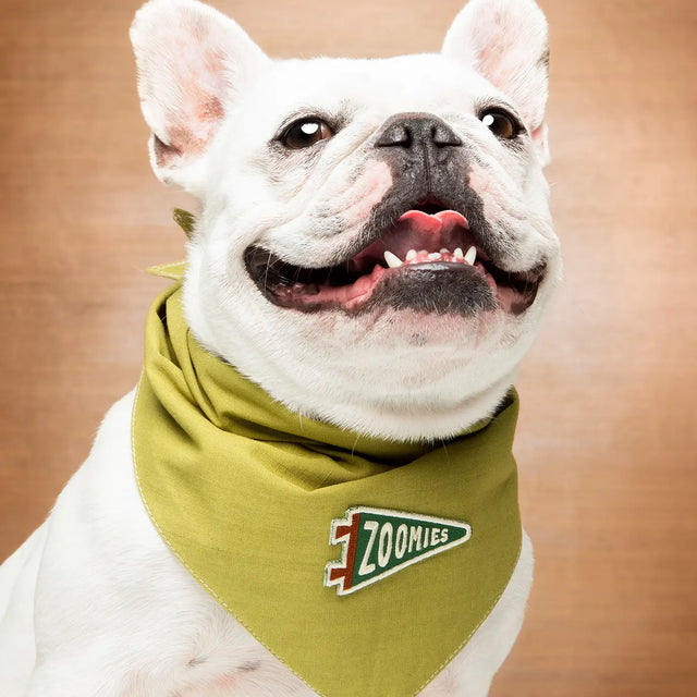 Zoomies Iron-On Patch