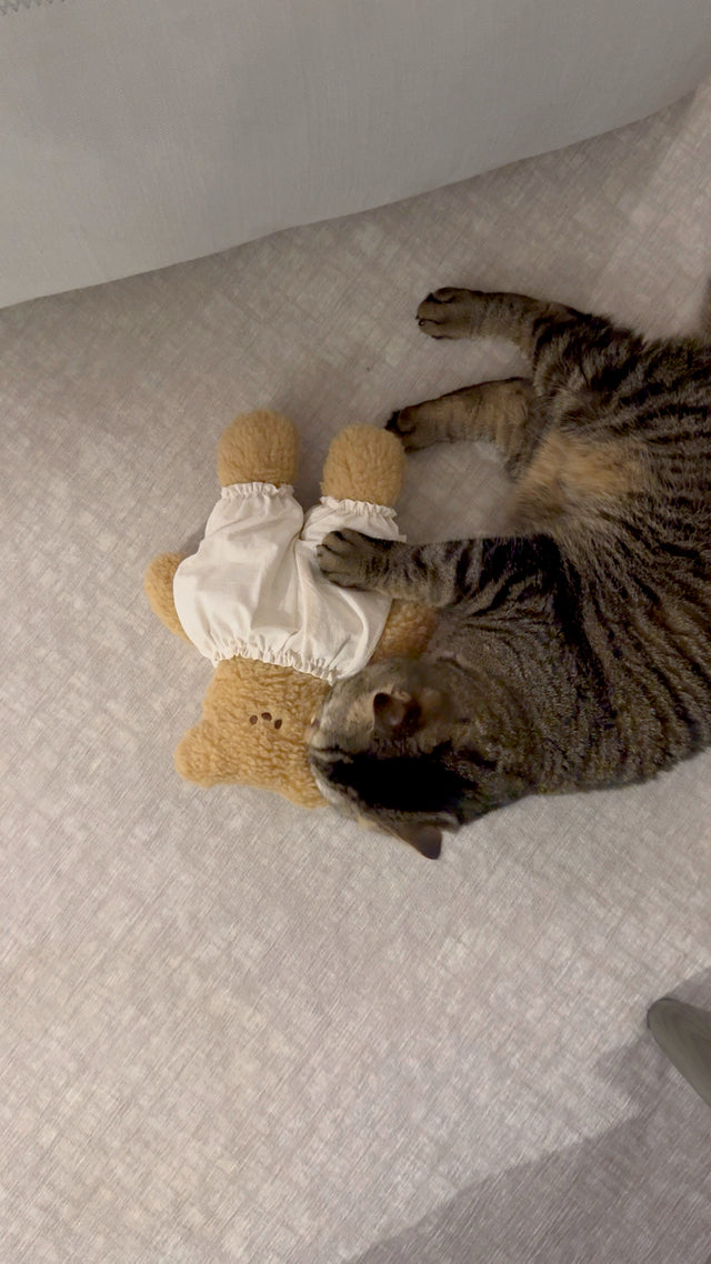 Bear Hug (Brown)