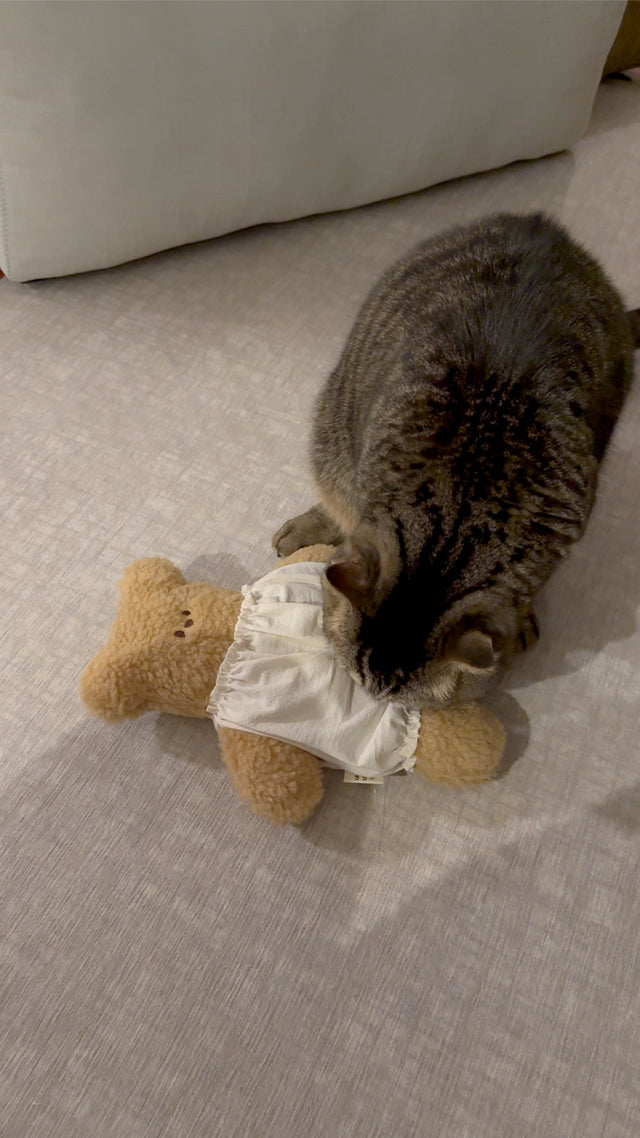 Bear Hug (Brown)