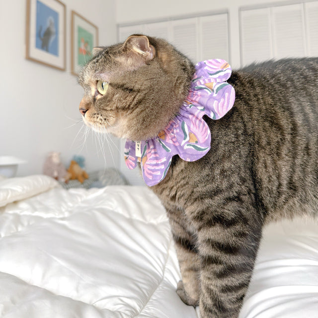 Flower Cape - Purple Shell