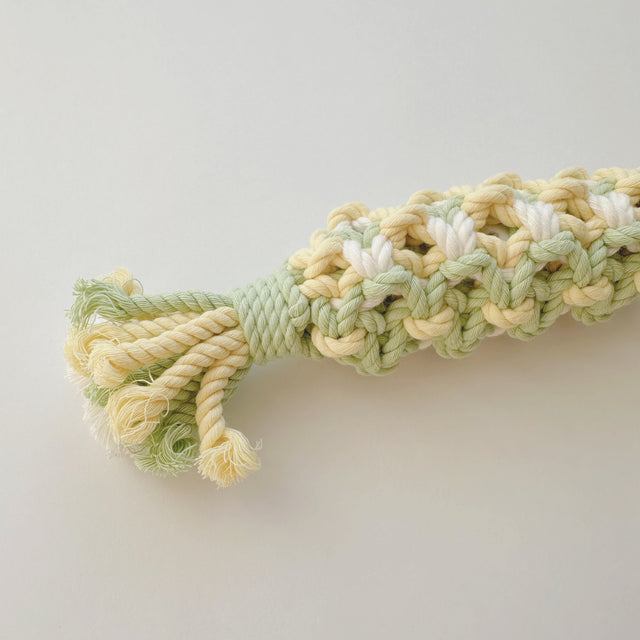 Tug Candy Pistachio