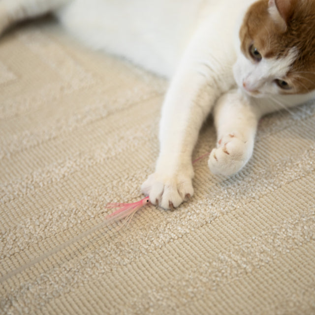 Calamari Game - Cotton and Corn