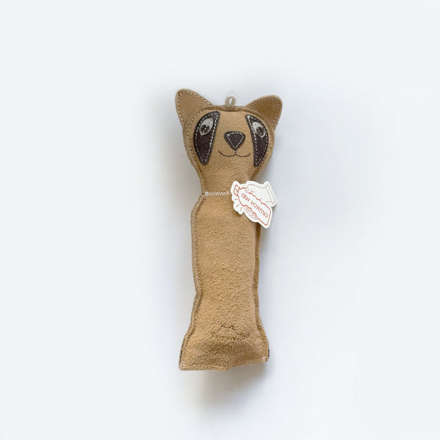 Dog Toy with Bottle Inside Cat