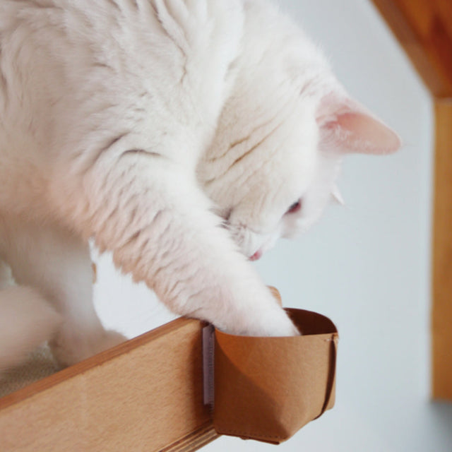 Treasure Hunt (2 pieces set)