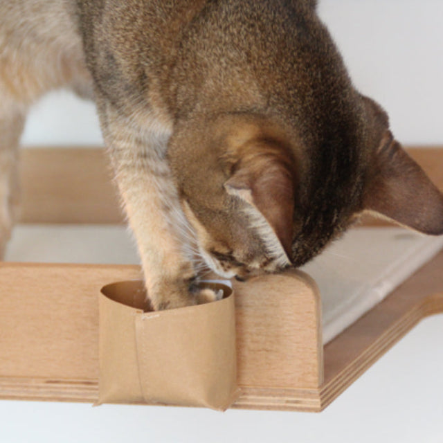 Treasure Hunt (2 pieces set)