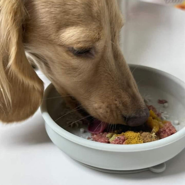 Siliking Moon-Bowl