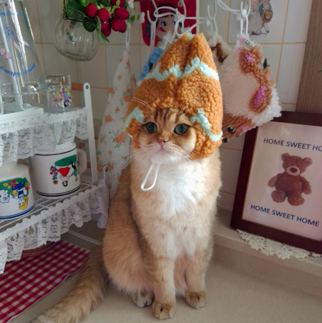 Fluffcorn Hat (Brown&Mint)