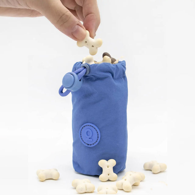 Treats Pouch Glacier