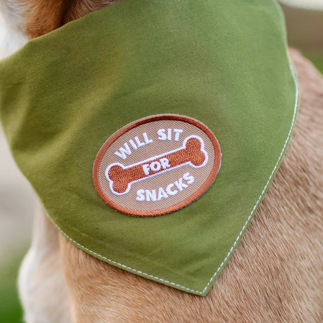 Will Sit For Snacks Iron-On Patch
