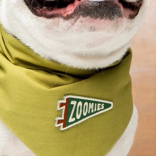 Zoomies Iron-On Patch