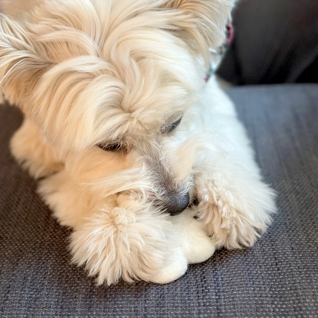 Cotton Puff - Cotton and Corn