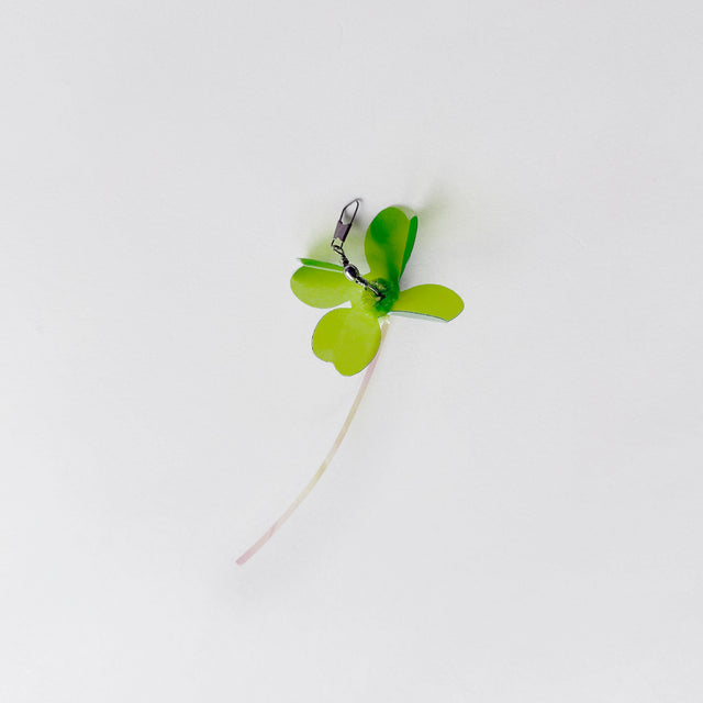 Cloverpop