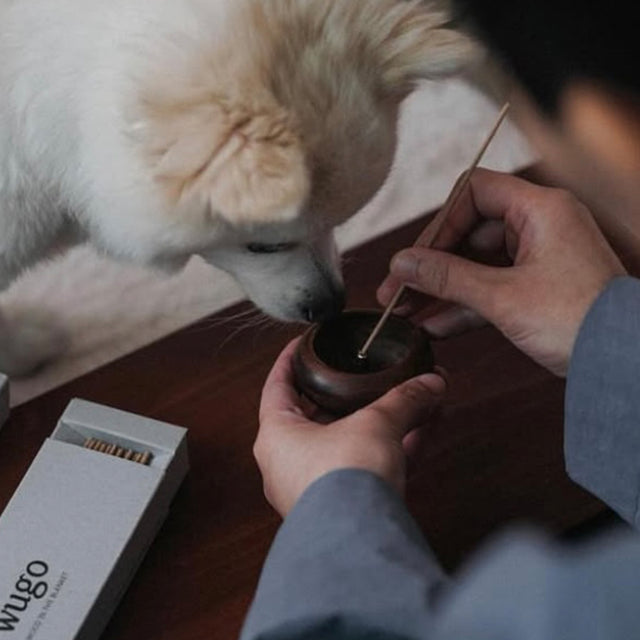 Wood in the Blanket (Dog and Cat Friendly)