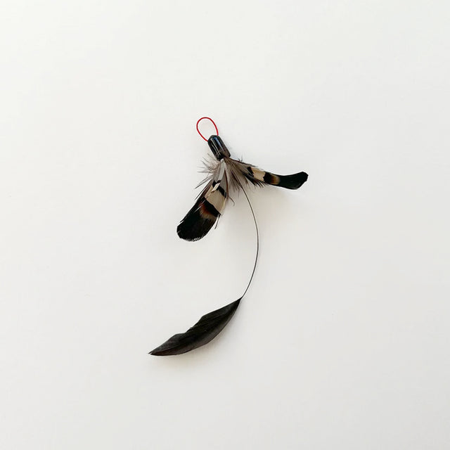 Moth Mobile