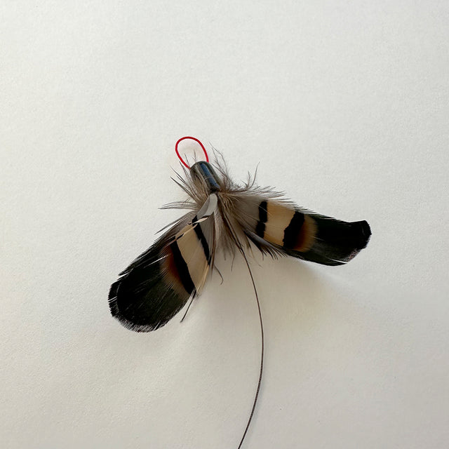 Moth Mobile