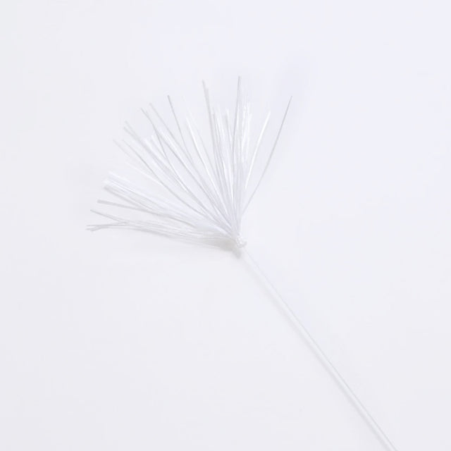 Pappus