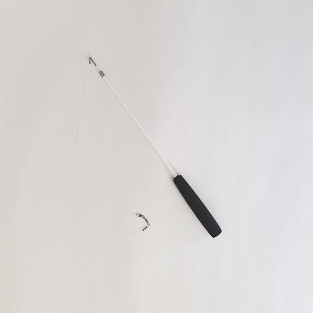 Interactive Stick Rod