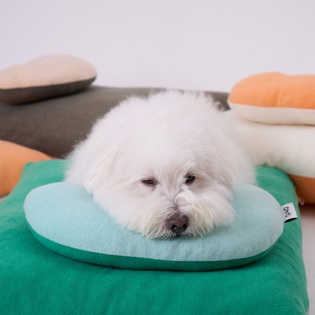 Snuggle Bean Set