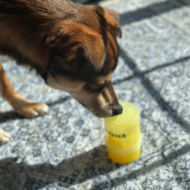 Petfuser
