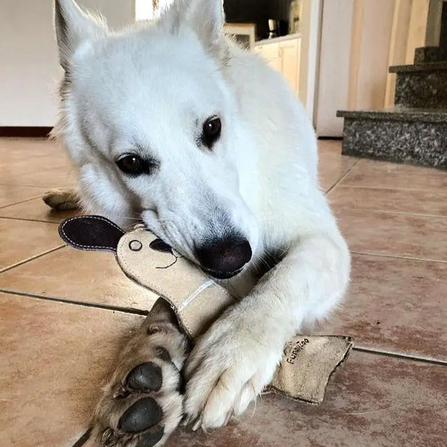 Dog Toy with Bottle Inside Cat