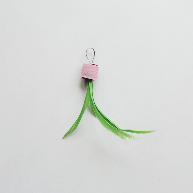 Hanging Palm