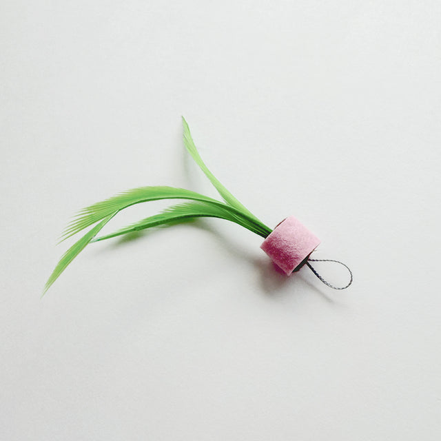 Hanging Palm
