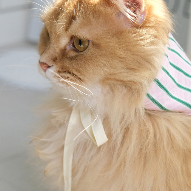 Pink Striped Bandana + Hood