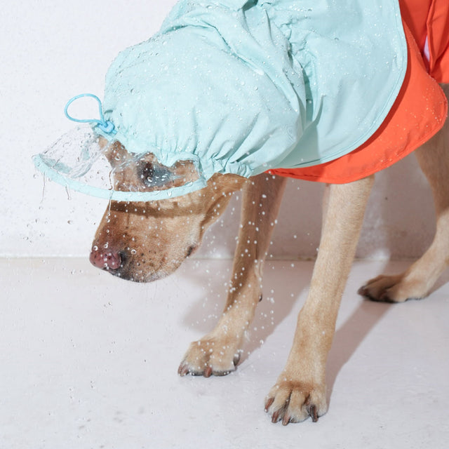 [Pre-Order] All-Weather Water Shield Poncho (Orange)