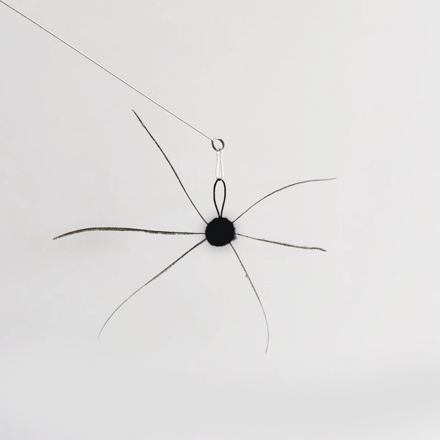 Silky Spider