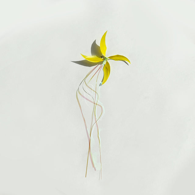 Sunnytail